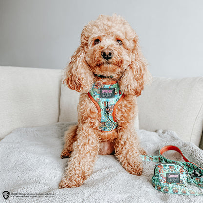 Dog Adjustable Harness - Scooby-Doo™
